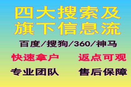 行业标杆：SEM推广代运营成功案例